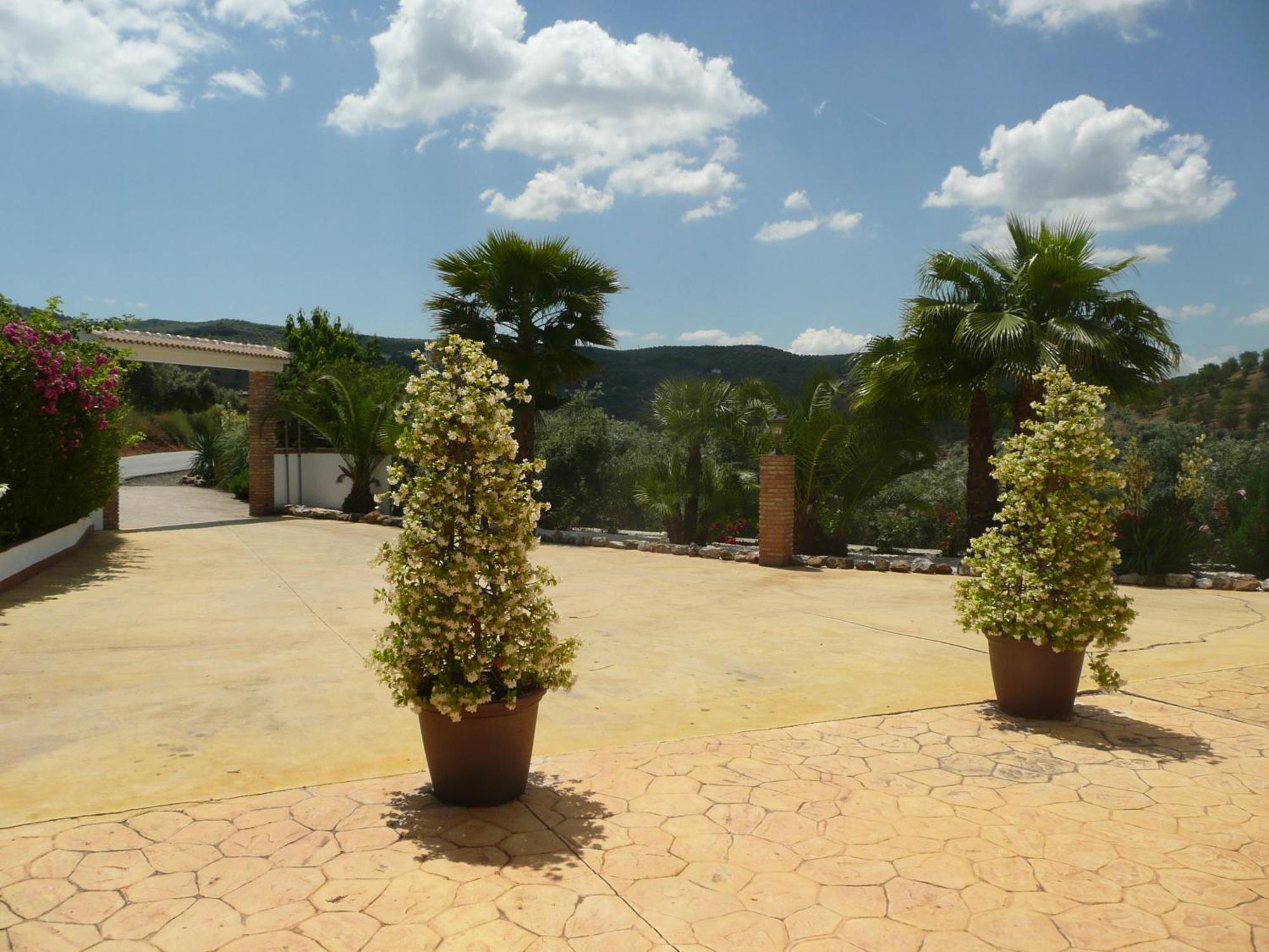 Casa Pino Solo Apartment Iznajar Exterior photo